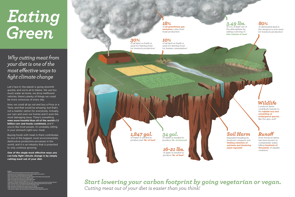 Eating Green: an infographic on vegetarianism, veganism, environmentalism, and the livestock industry